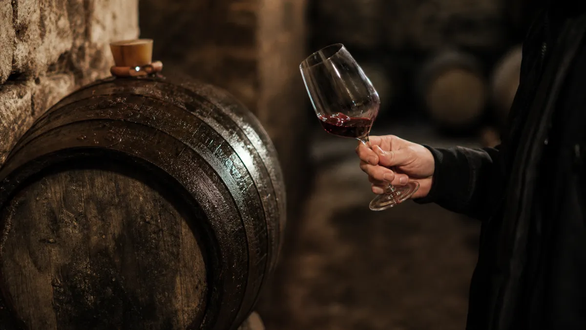 Guide de la ville de Bordeaux en France : vin et histoire